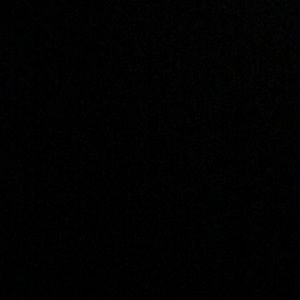 Meet your Posher, Lexie